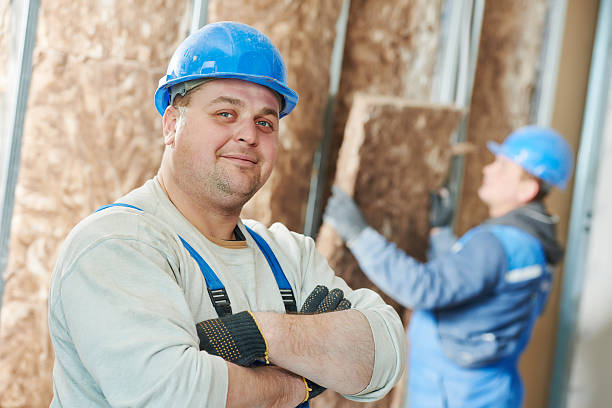 Best Best Insulation Companies  in Abernathy, TX
